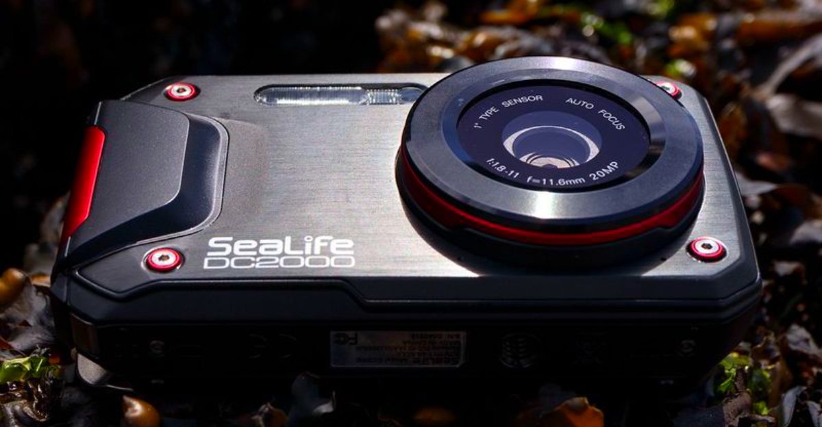 15 Rugged Cameras That Survive Mud, Rain, and Rock Scrapes