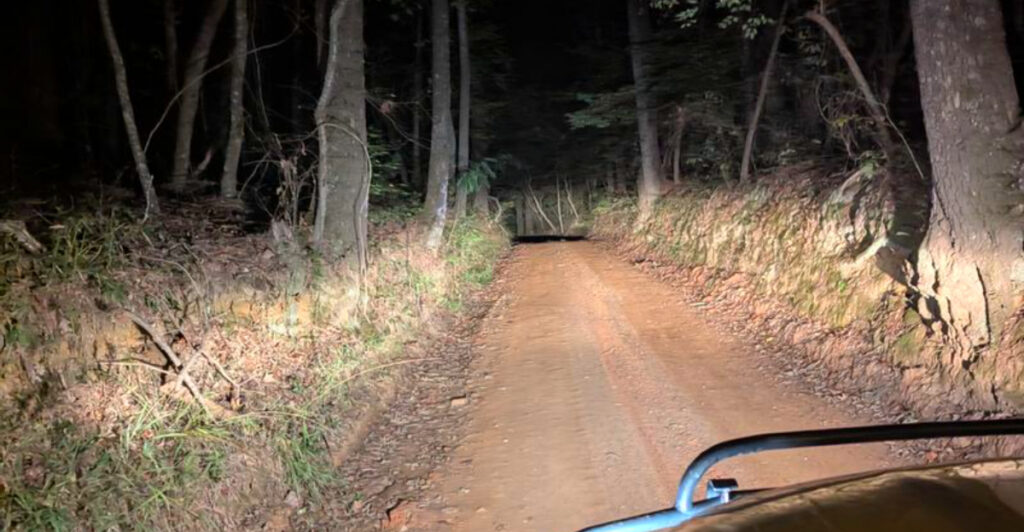 16 U.S. Roads That Locals Say You Should Never Take at Night