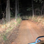 16 U.S. Roads That Locals Say You Should Never Take at Night