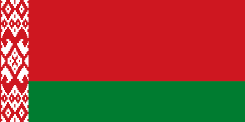 15. Belarus: 11.4 L