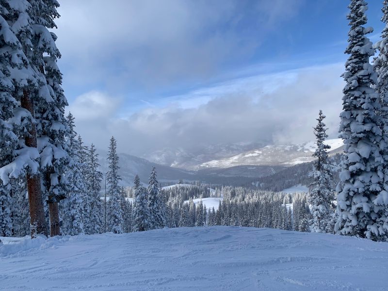 3. The Wasatch and Uinta Backcountry Map