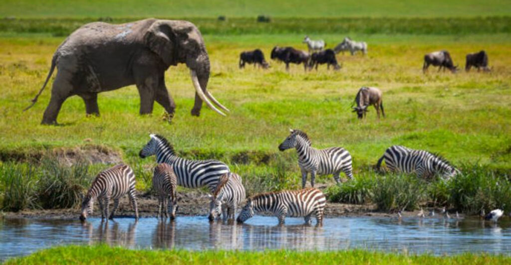 20 Must-Do 2026 Trips for Adventure Lovers