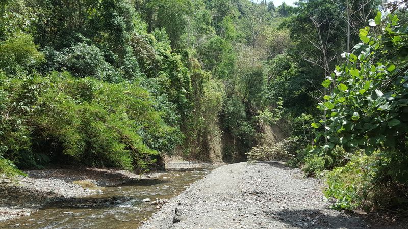 Osa Peninsula, Costa Rica
