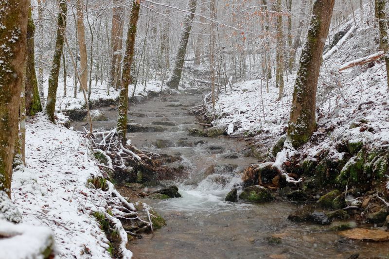 4. Life Revolves Around the Seasons