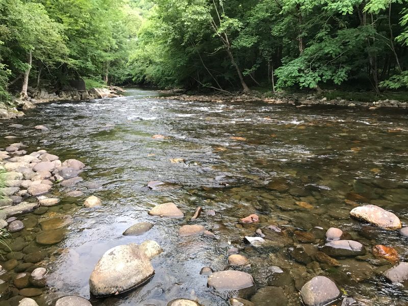 5. It Borders a National Park Instead of a City