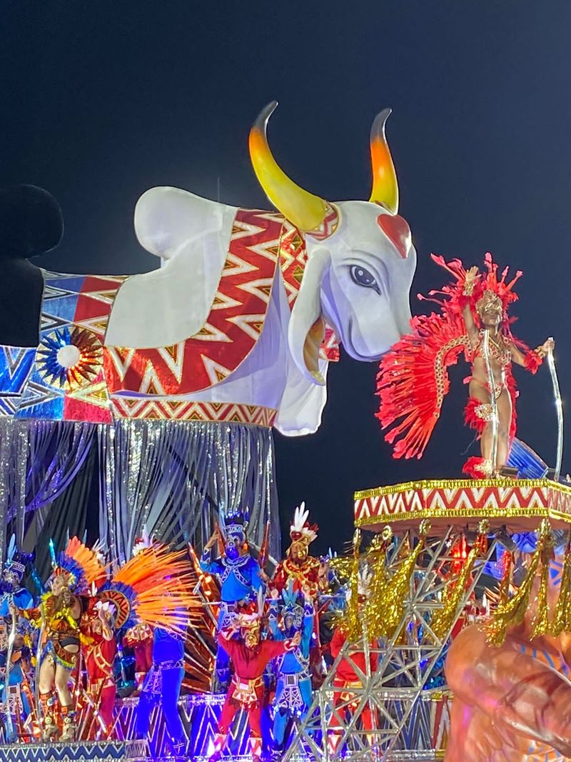 Rio de Janeiro Carnival — Brazil's Explosive Samba Celebration