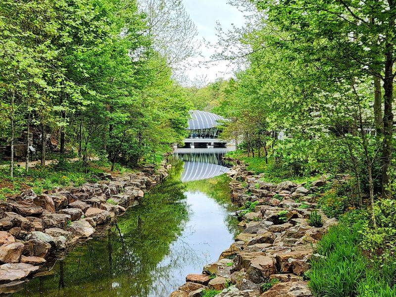 Nature Is Always Five Minutes Away