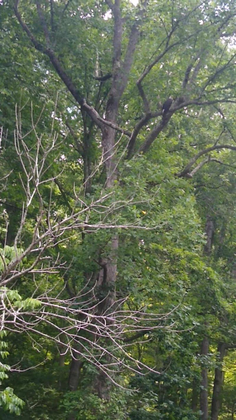 Artist-Friendly Community