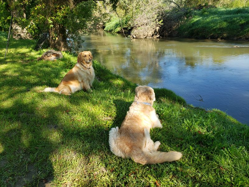 Sandbars and Easy Camping