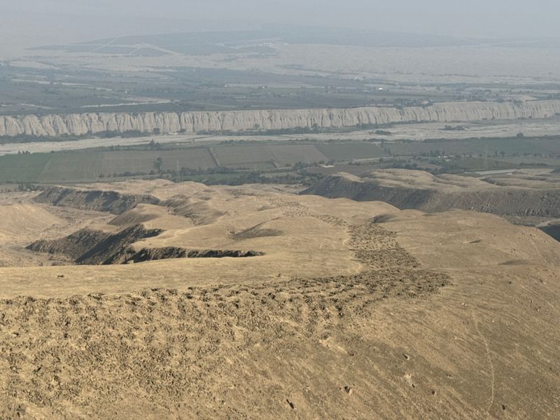 A Mystery That Stumped Researchers for Over 100 Years