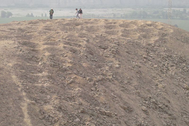 A Breakthrough from the University of Sydney