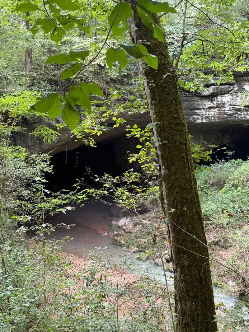 Reliable Fresh Water