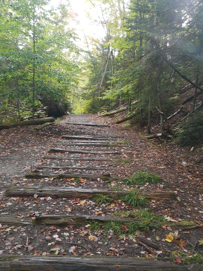 Quiet Moments Just Steps From the Parking Area