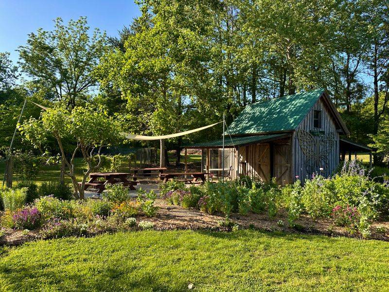 Sustainable Gardening Ideas