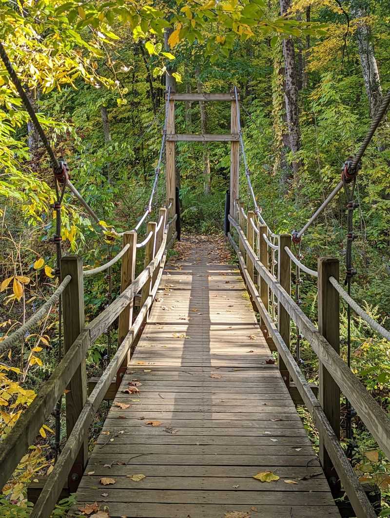 Essential Tips for Your Visit