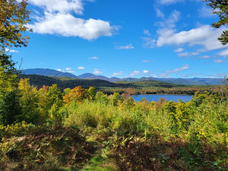 Blueberry Hill Trails