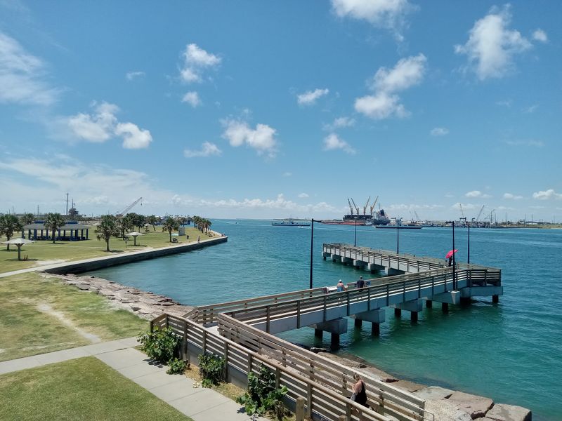 Practical buying checklist for newcomers