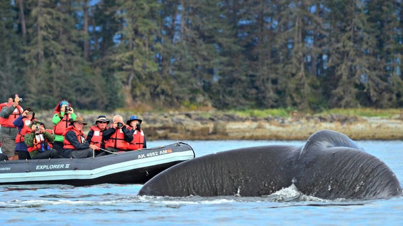 Alaska on a small ship with UnCruise Adventures
