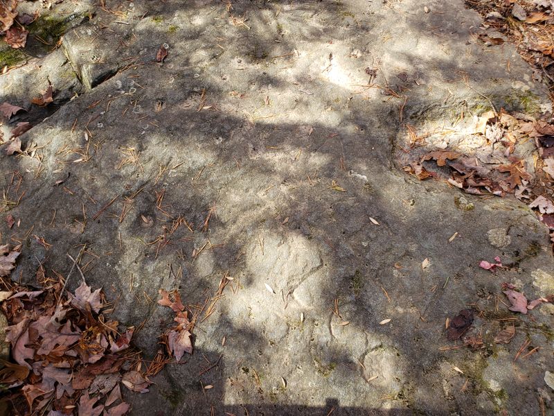 Cave-Dwelling Cultures Present Another Possibility