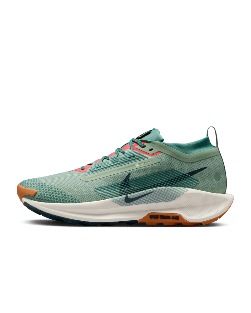 Nike Pegasus Trail 5 GORE-TEX