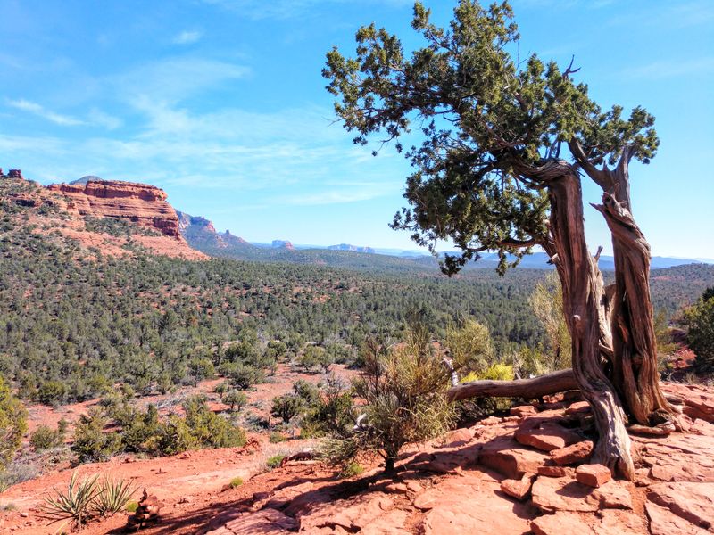 Boynton Canyon Vortex