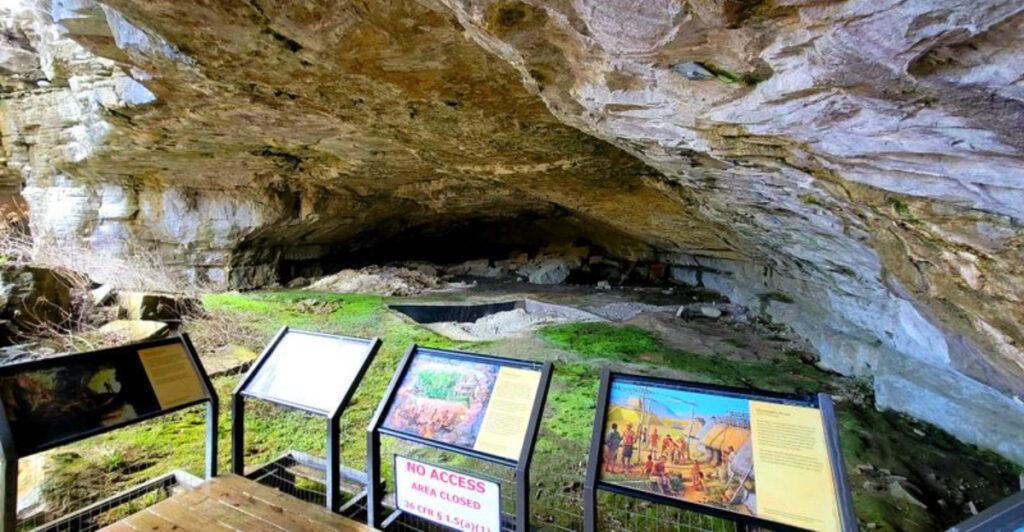 An Alabama Cave Holds One of America’s Most Complete Records of Prehistoric Life