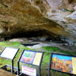 An Alabama Cave Holds One of America’s Most Complete Records of Prehistoric Life