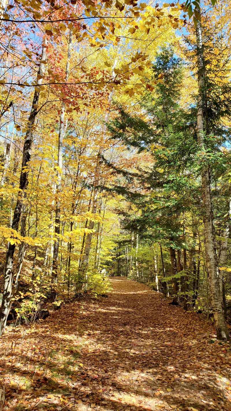 A Wide, Flat Path That Encourages Slow Walks