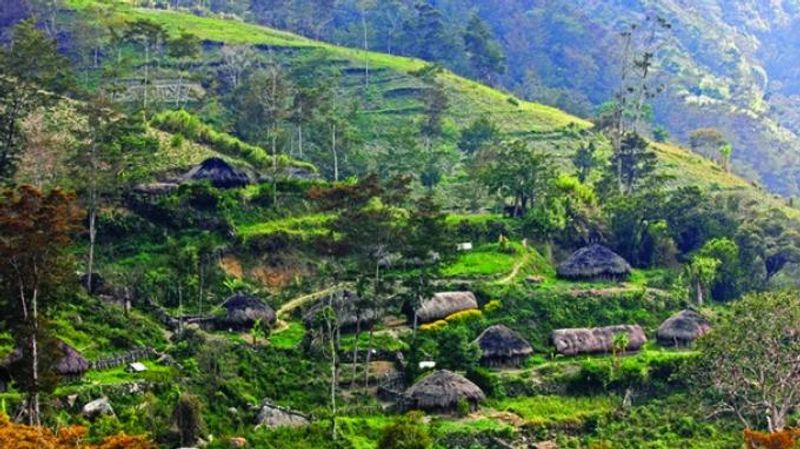 New Guinea (Papua New Guinea/Indonesia)