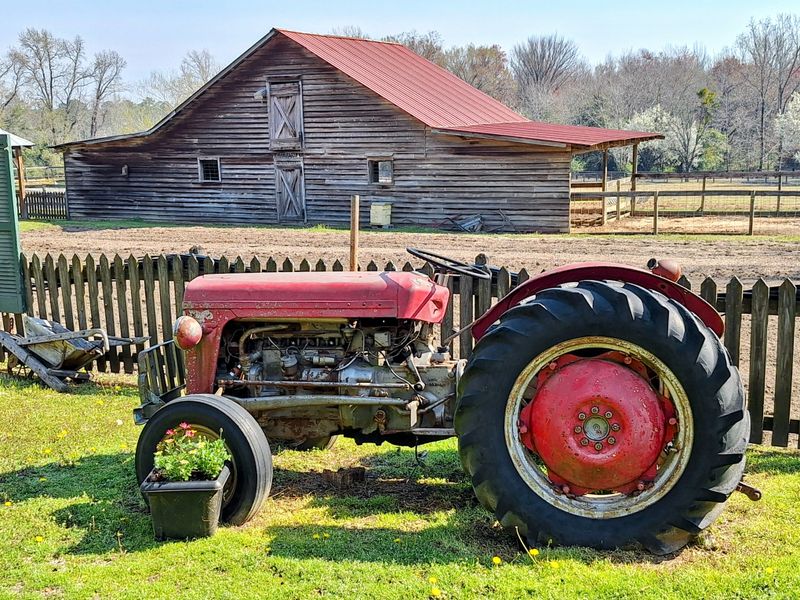 Old McCaskill’s Farm — Rembert, SC