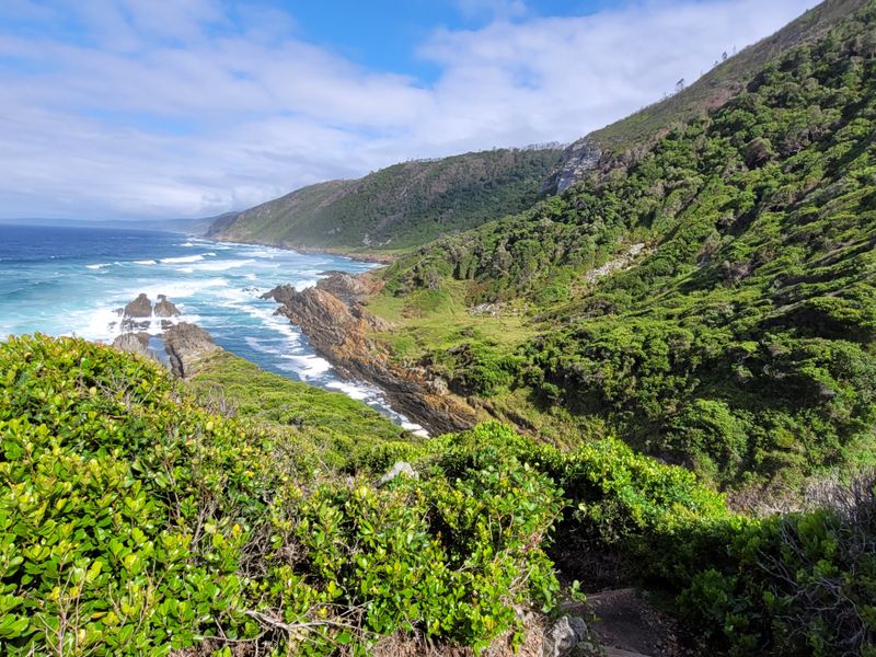 Otter Trail — South Africa (Coastal Wilderness)
