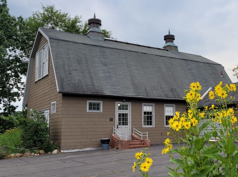 The Sunflower Maze and Photo Moments