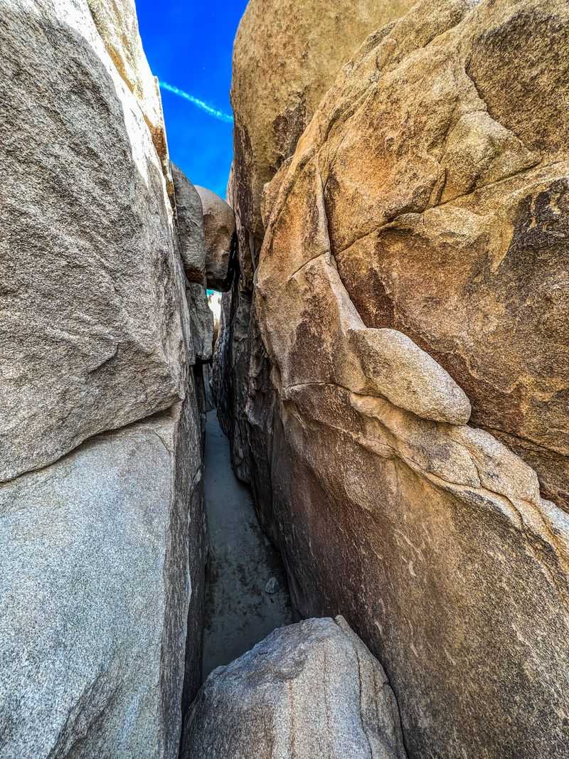 Hall of Horrors: the scramble that turns adults into happy chaos gremlins