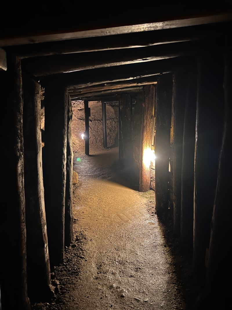 The European Association of Archaeologists Condemned the Project