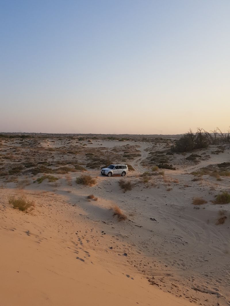 A world hooked on sand