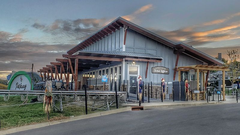 Outdoor Axe Throwing