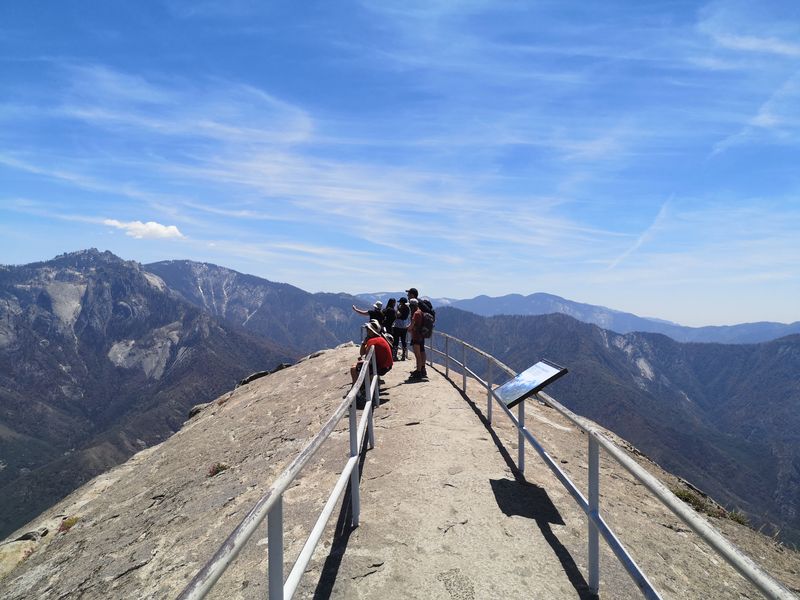 See Peregrine Falcons in Season