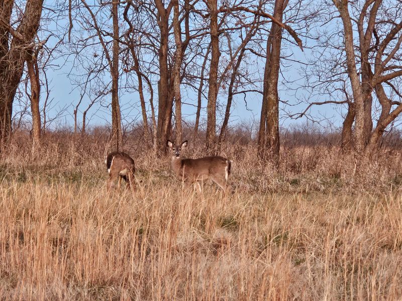 Clinton State Park Trails and Lake