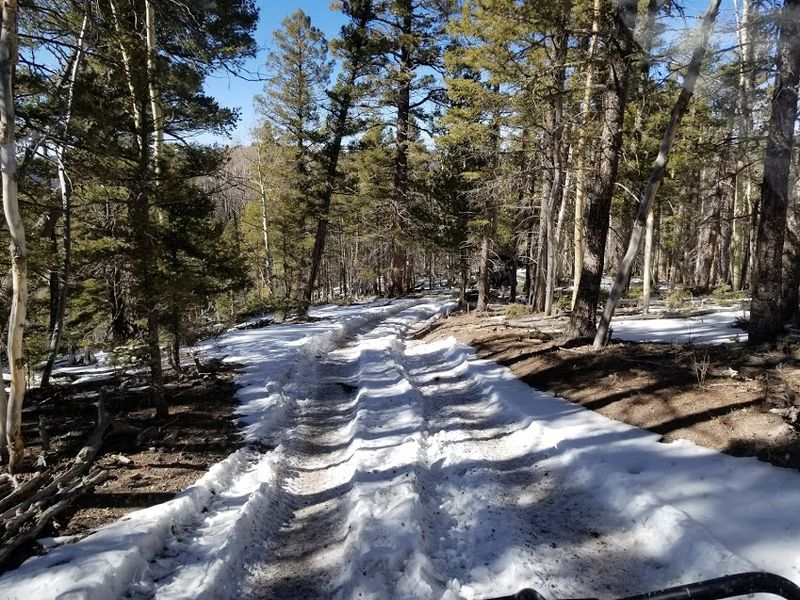 Red River, New Mexico, USA — Mountain Rafting & Forest Trails