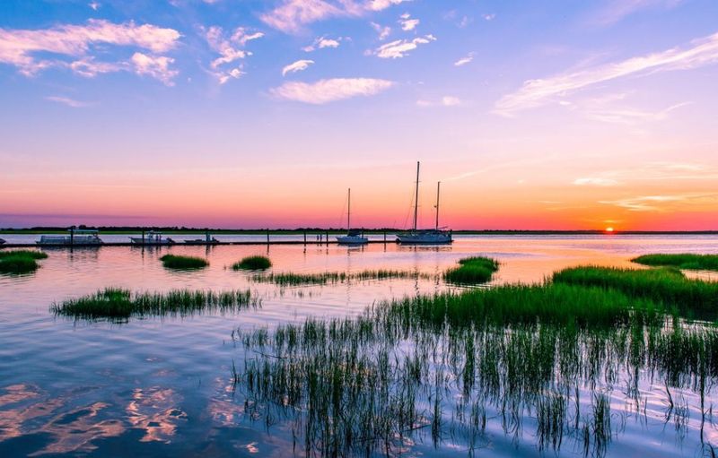 Tidal Marsh Overlook