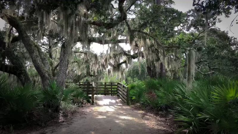 Picnic Under the Oaks