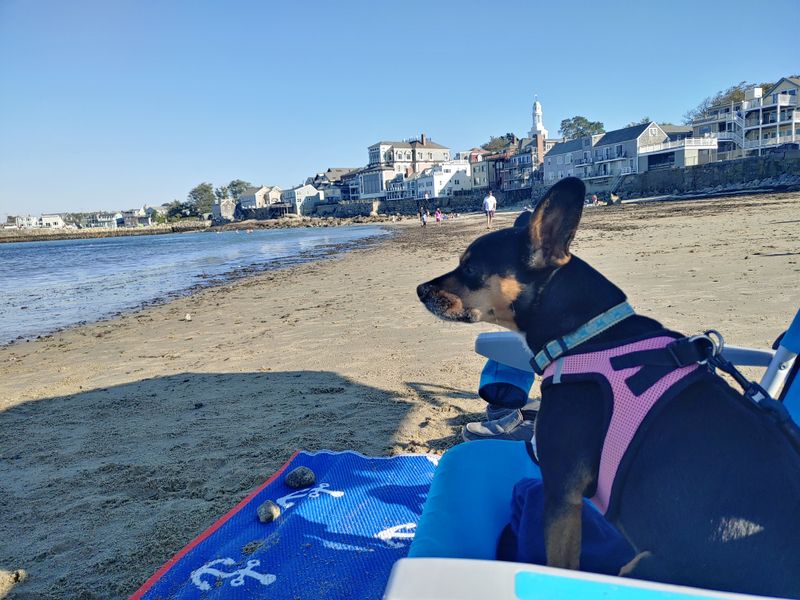 Front Beach Swim and Sun