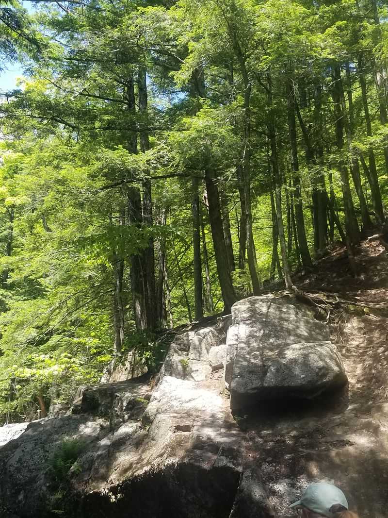 Swimming And Cliff Jumping Tips