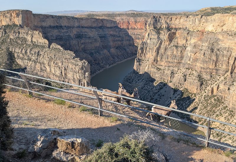 How BLM Manages The Balance