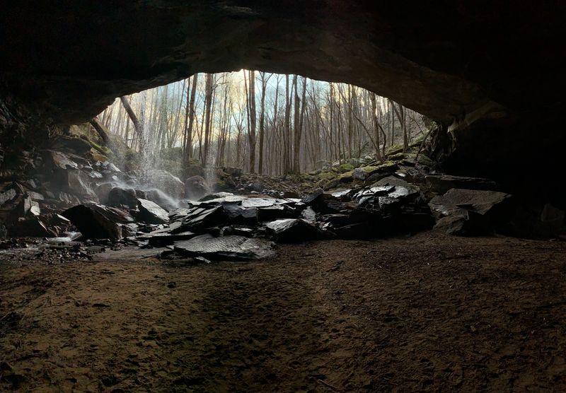 Wildlife and respectful encounters