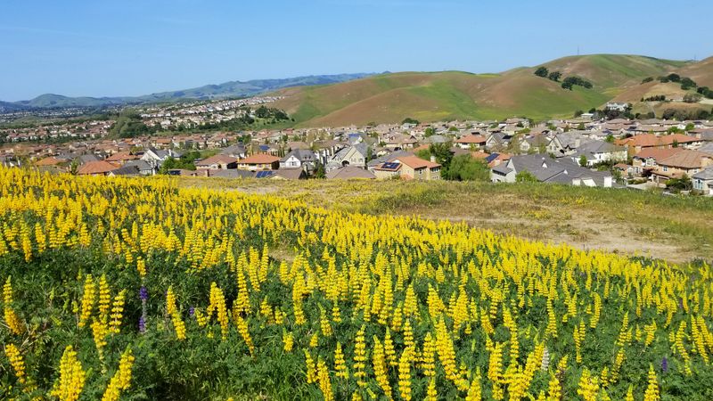 San Ramon, California