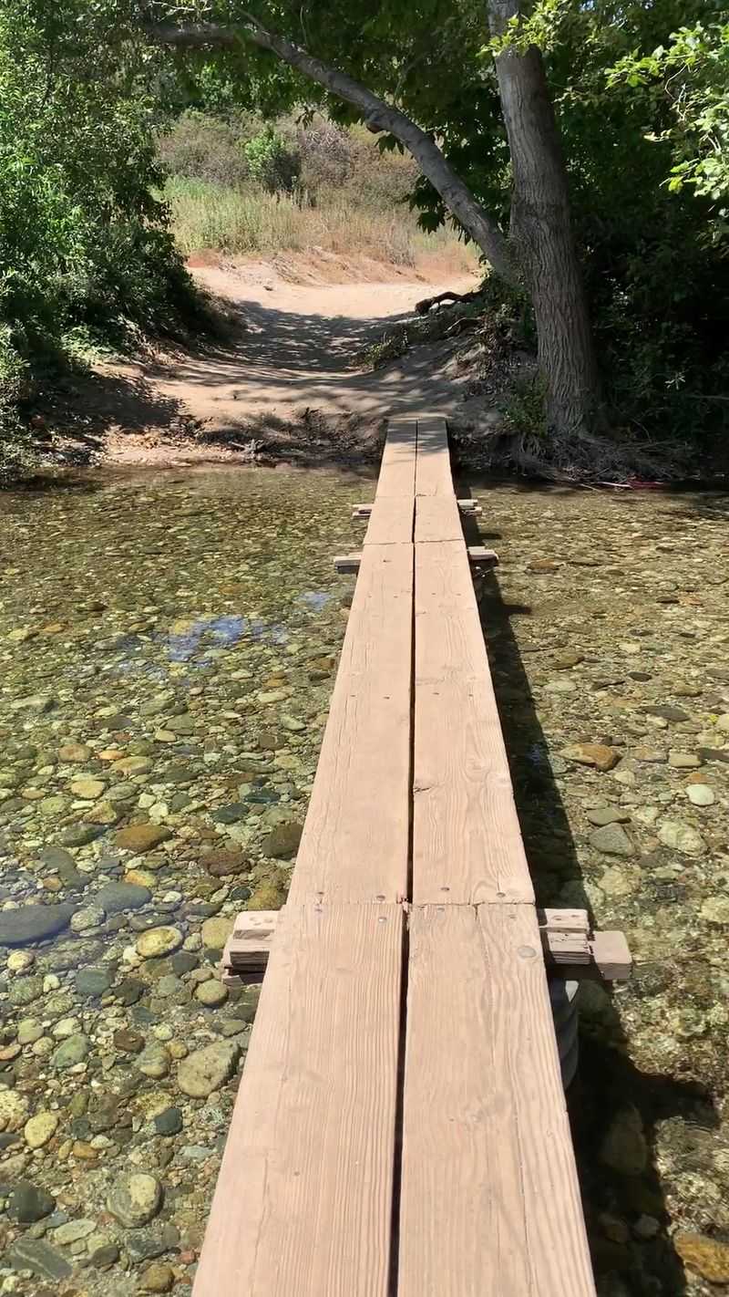 Creamery Meadow Trail - Andrew Molera State Park