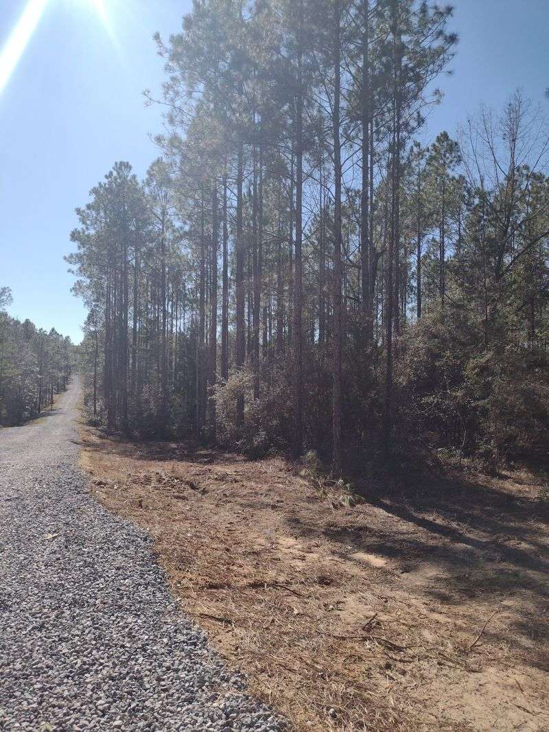 Headwaters of the Shoal River and Gum Creek