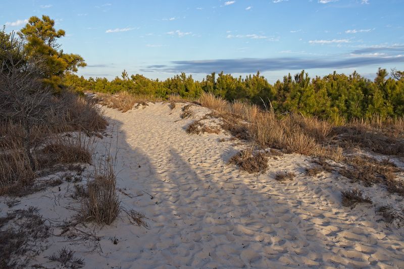 Hiking the Life of the Dunes Trail