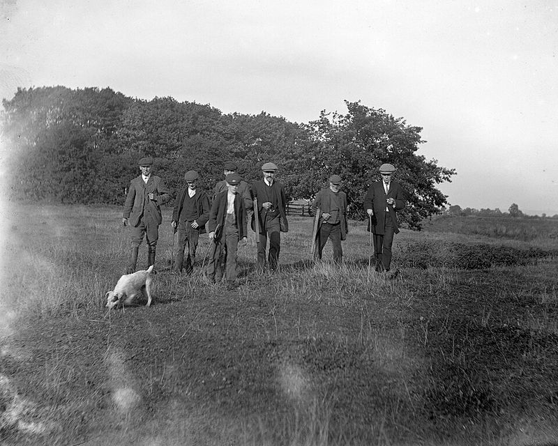 Beat Around the Bush